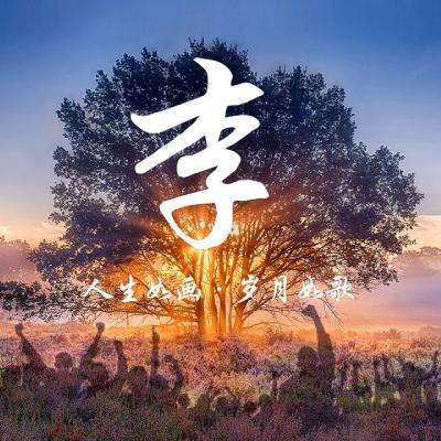 战国风月手机版